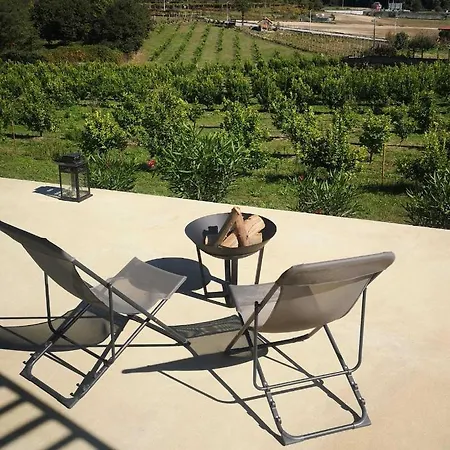 Guestready - Lemons' House * Penafiel